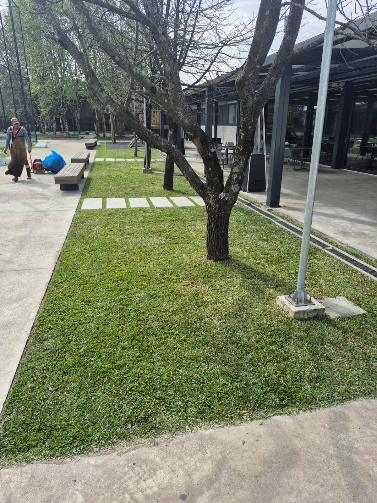 Projeto 4